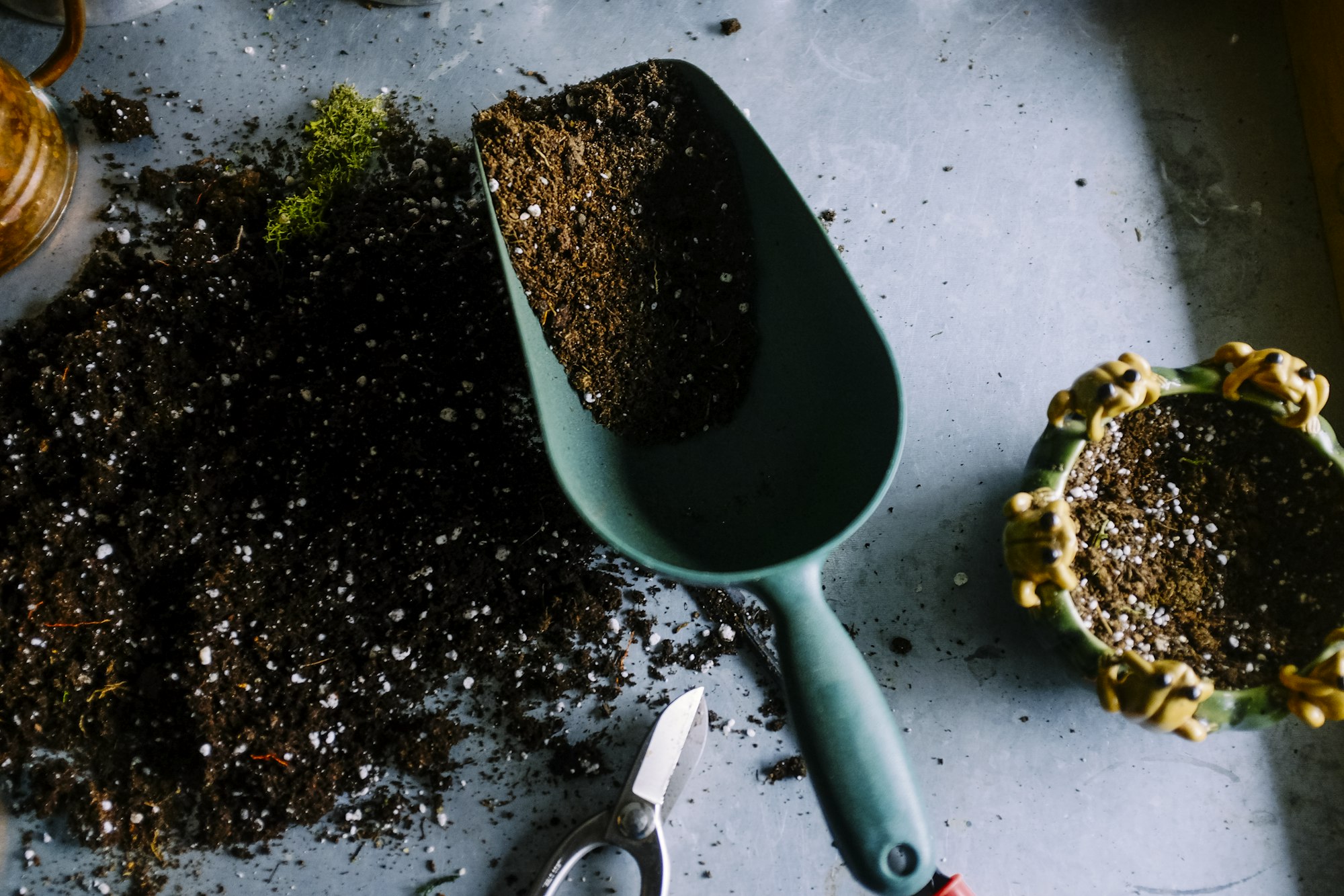 Close-up of healthy soil, the kind of sample the AI reads for nutrient content